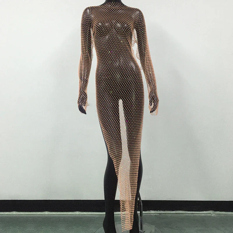 Navarita | Sparkle Mesh Maxi Dress