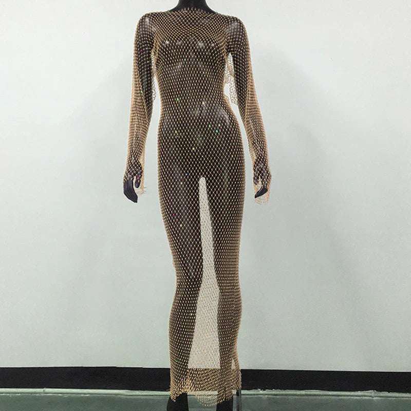 Navarita | Sparkle Mesh Maxi Dress