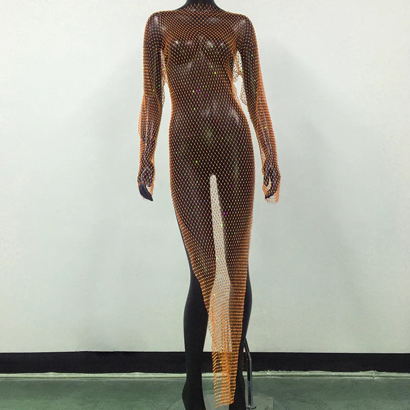 Navarita | Sparkle Mesh Maxi Dress